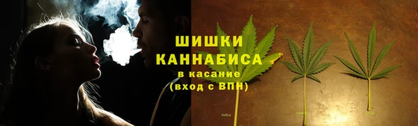 твердый Бронницы