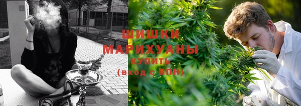 стаф Богородицк