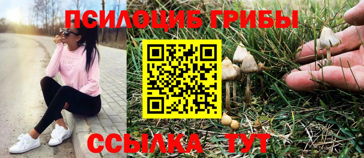 Псилоцибиновые грибы ЛСД Вятские Поляны